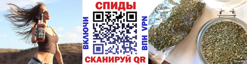 цены   Полярные Зори  Бутират BDO 33% 