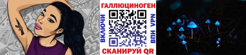 Галлюциногенные грибы Psilocybe  хочу наркоту  Полярные Зори 