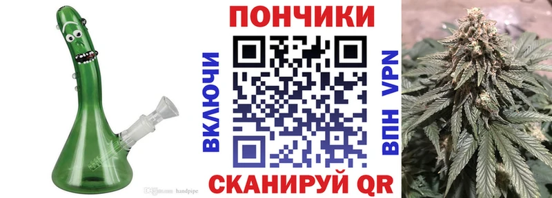 omg вход  Полярные Зори  Бошки Шишки Amnesia 